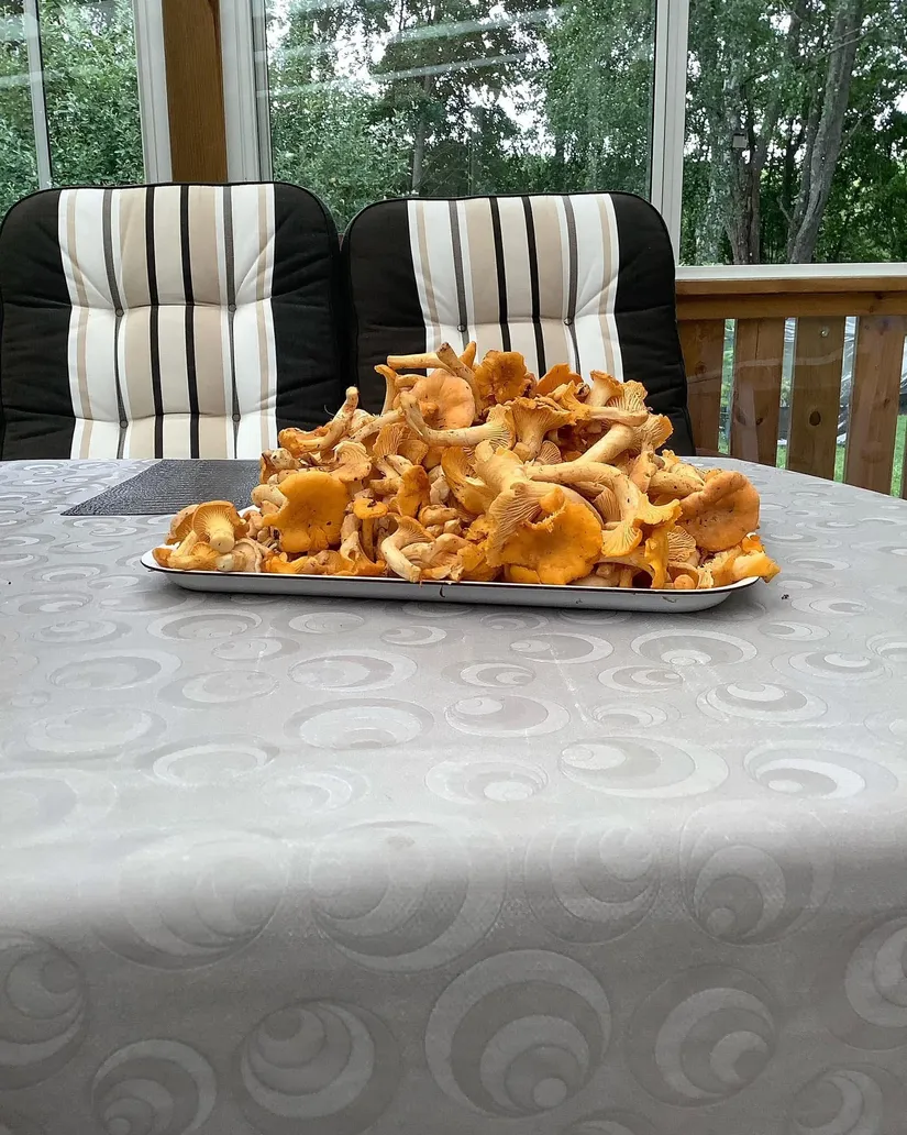 Fritidshus, Ängsstigen 1, Björktorp, Strängnäs