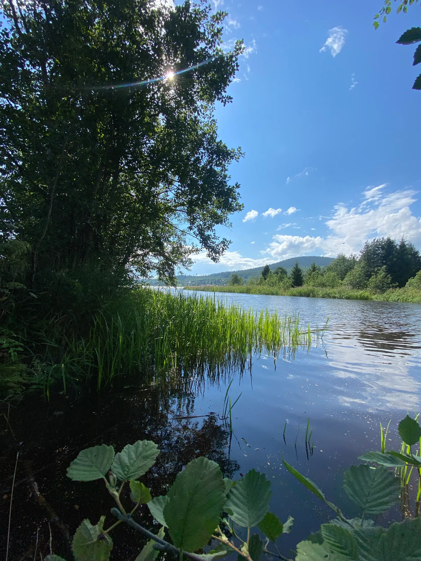 Villa, Gådeåbro 228, Gådeåbro, Härnösand