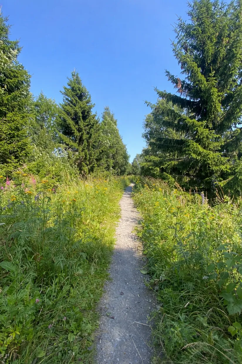 Villa, Gådeåbro 228, Gådeåbro, Härnösand