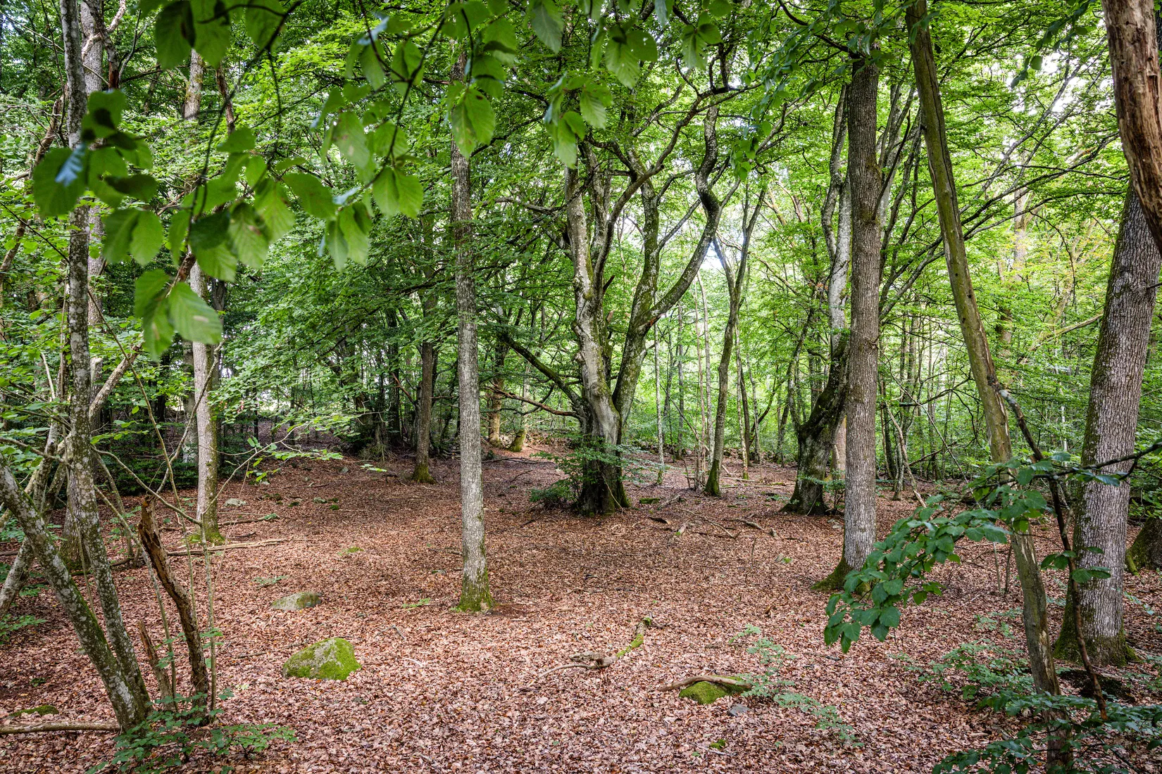 Tomt, TOMELILLA TUNBY 34:48, Tunby, Tomelilla