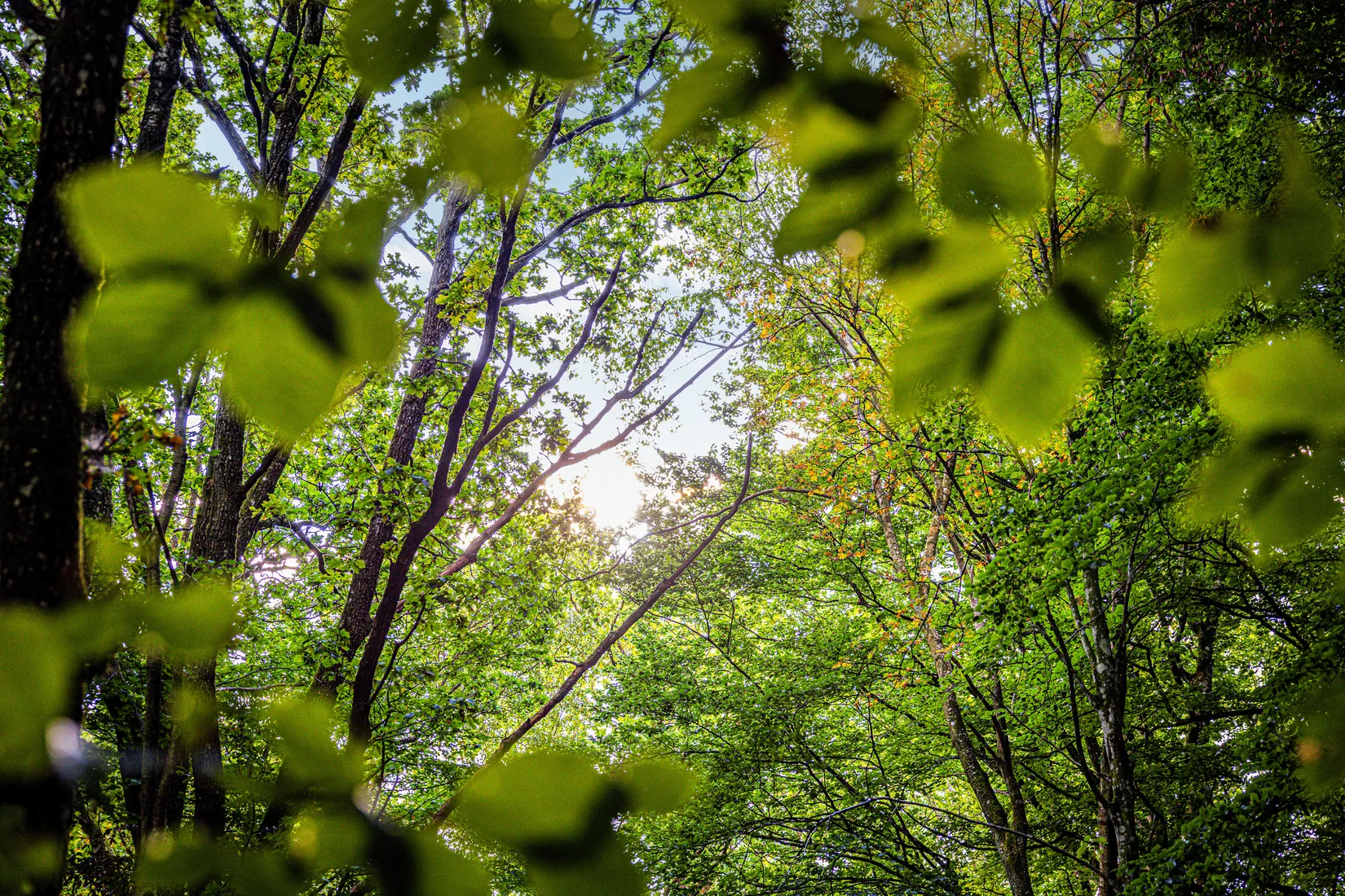 Tomt, TOMELILLA TUNBY 34:48, Tunby, Tomelilla