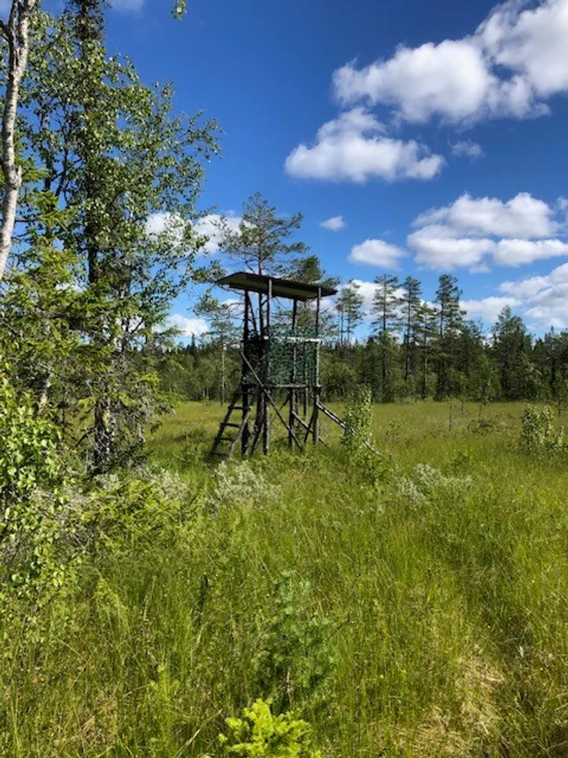 Fritidshus, Kölsjön 16, Hassela, Nordanstig