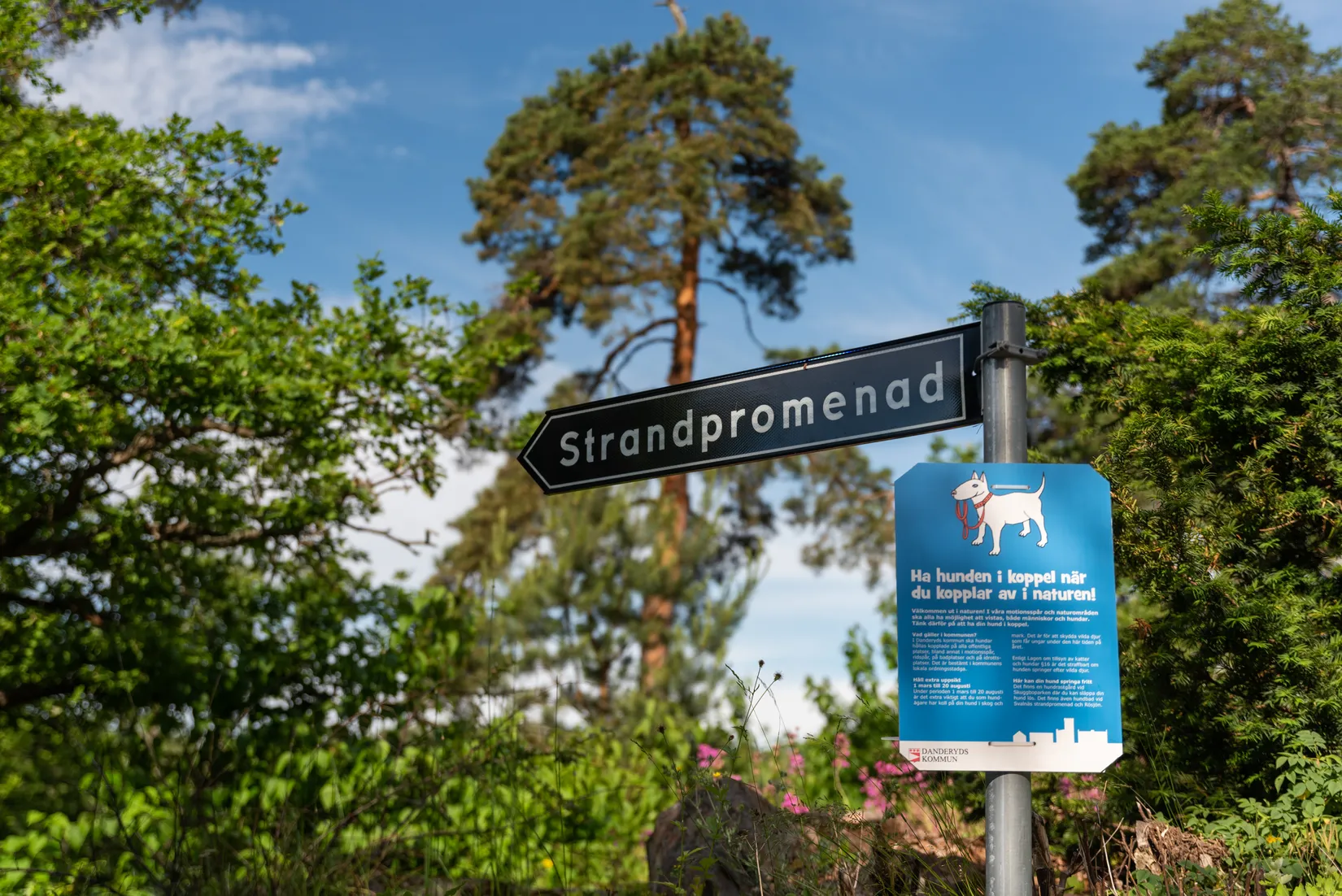 Bostadsrätt, Mörbylund 11B, Mörbylund, Danderyd