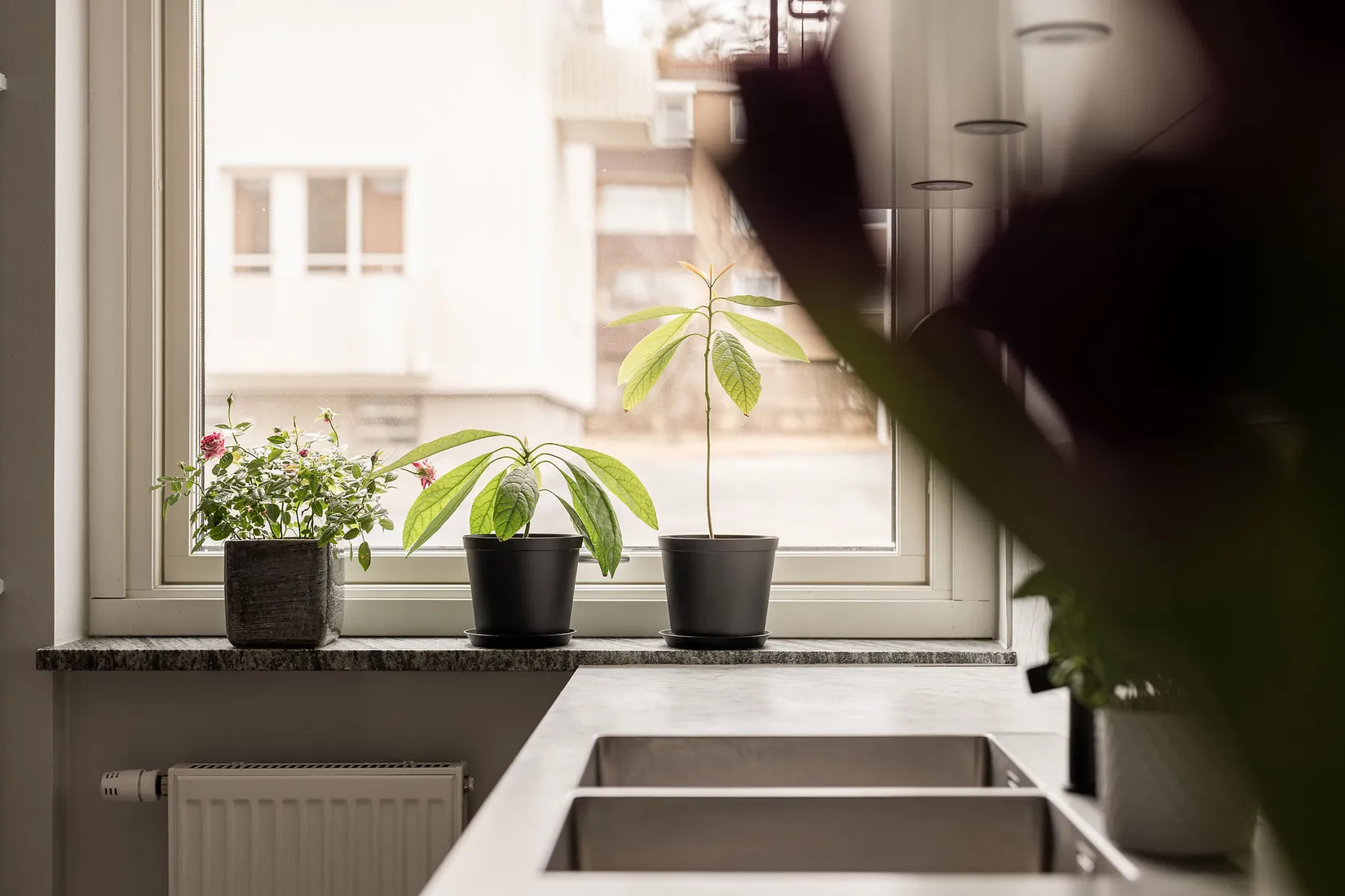 Bostadsrätt, Hornsgatan 15b, Östersund