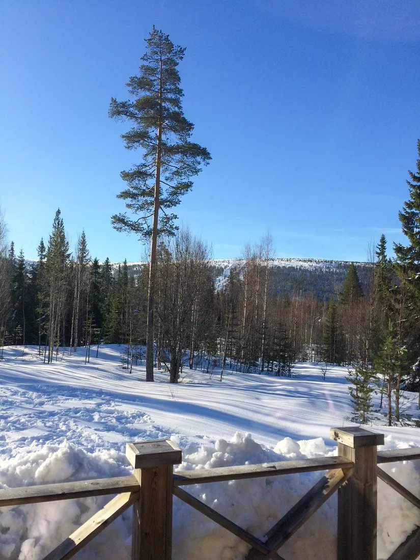 Fritidshus, Salbäcksvägen 18 andel D, Hundfjället, Malung-Sälen