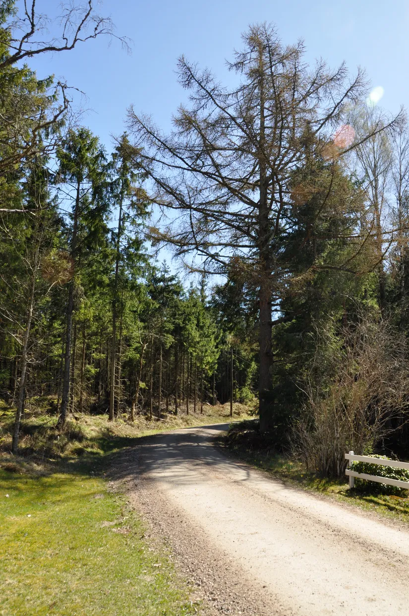 Villa, Högaholma 2278, Markaryd