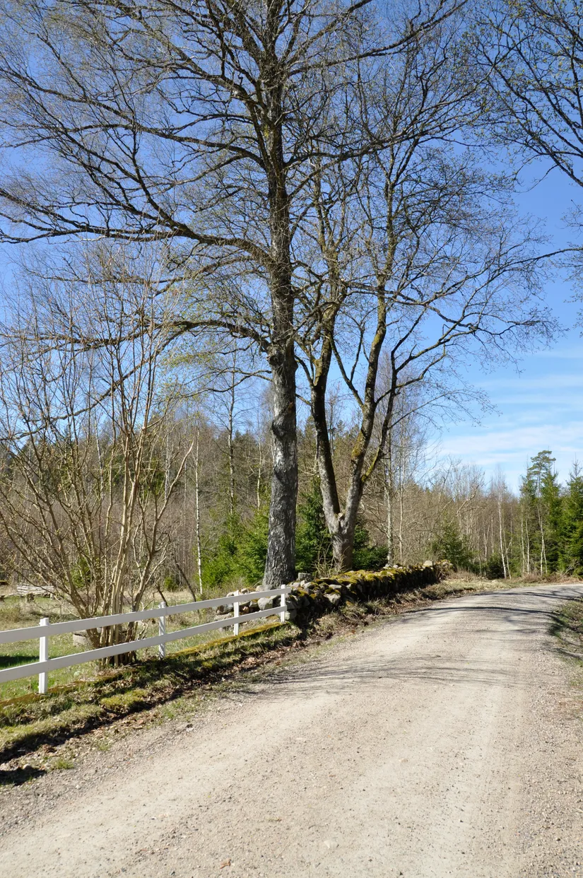 Villa, Högaholma 2278, Markaryd