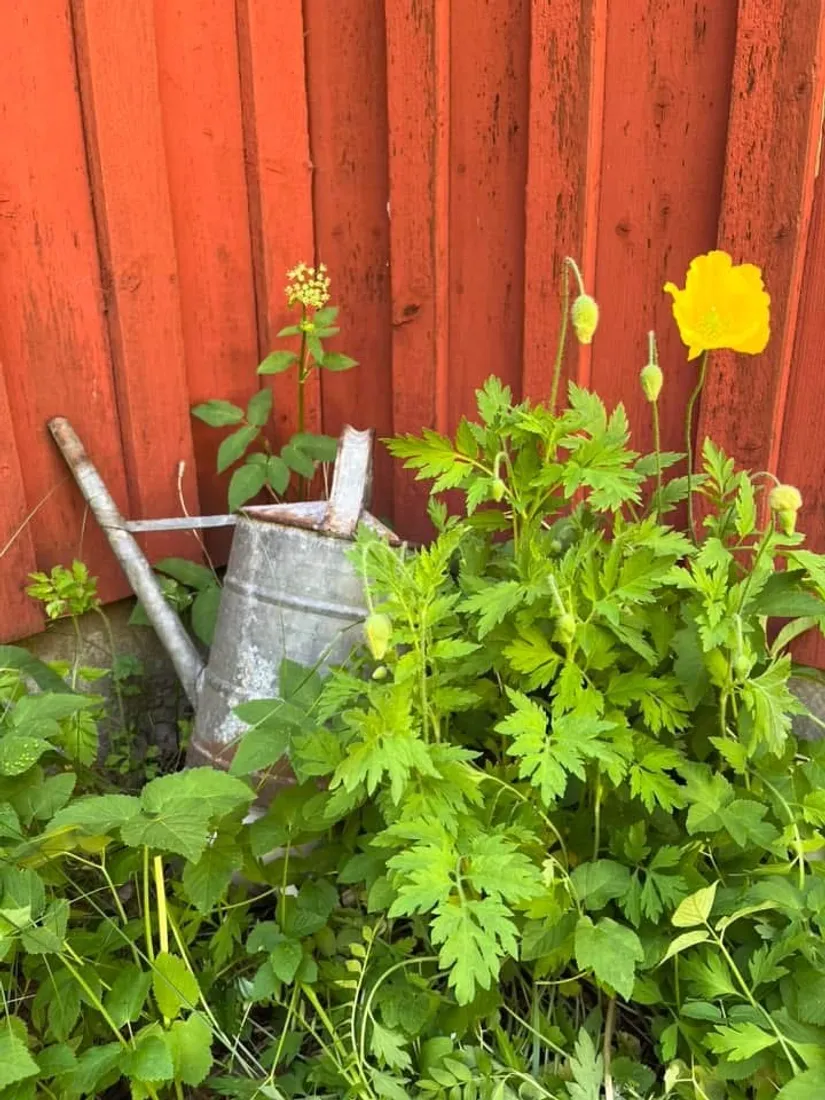 Villa, Högaholma 2278, Markaryd