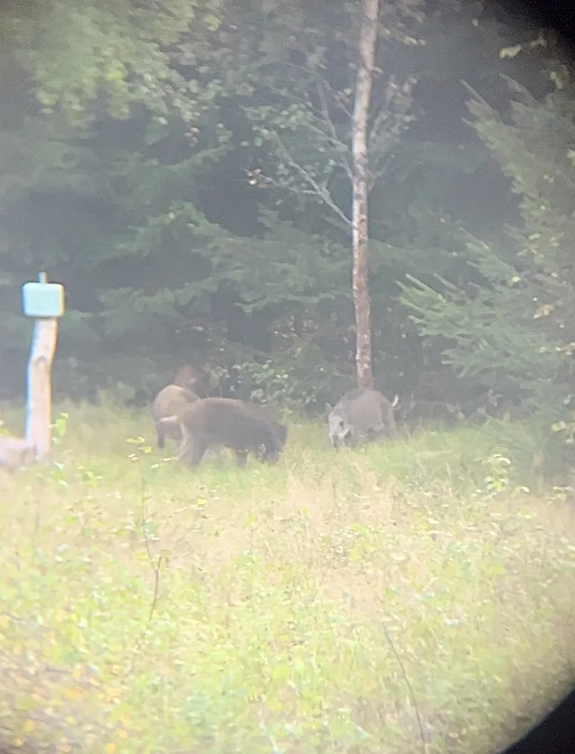 Villa, Högaholma 2278, Markaryd