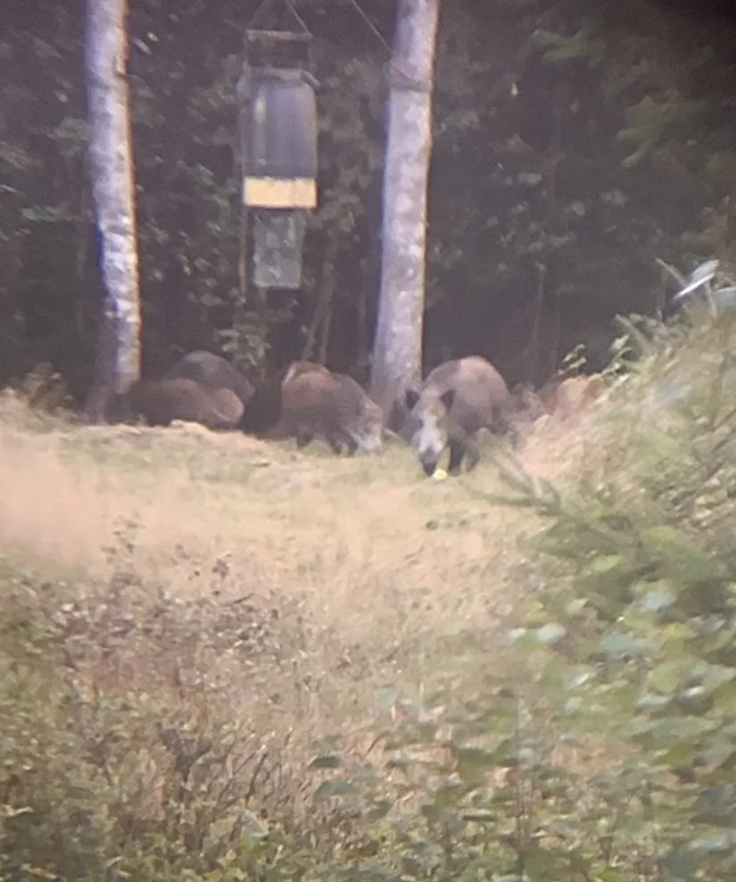 Villa, Högaholma 2278, Markaryd