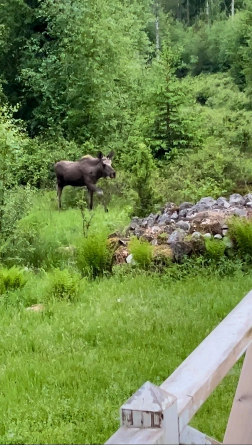Villa, Högaholma 2278, Markaryd