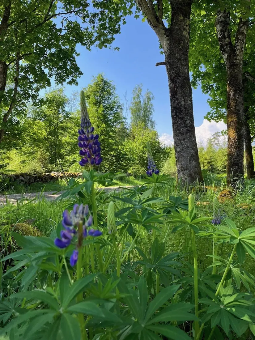 Villa, Högaholma 2278, Markaryd