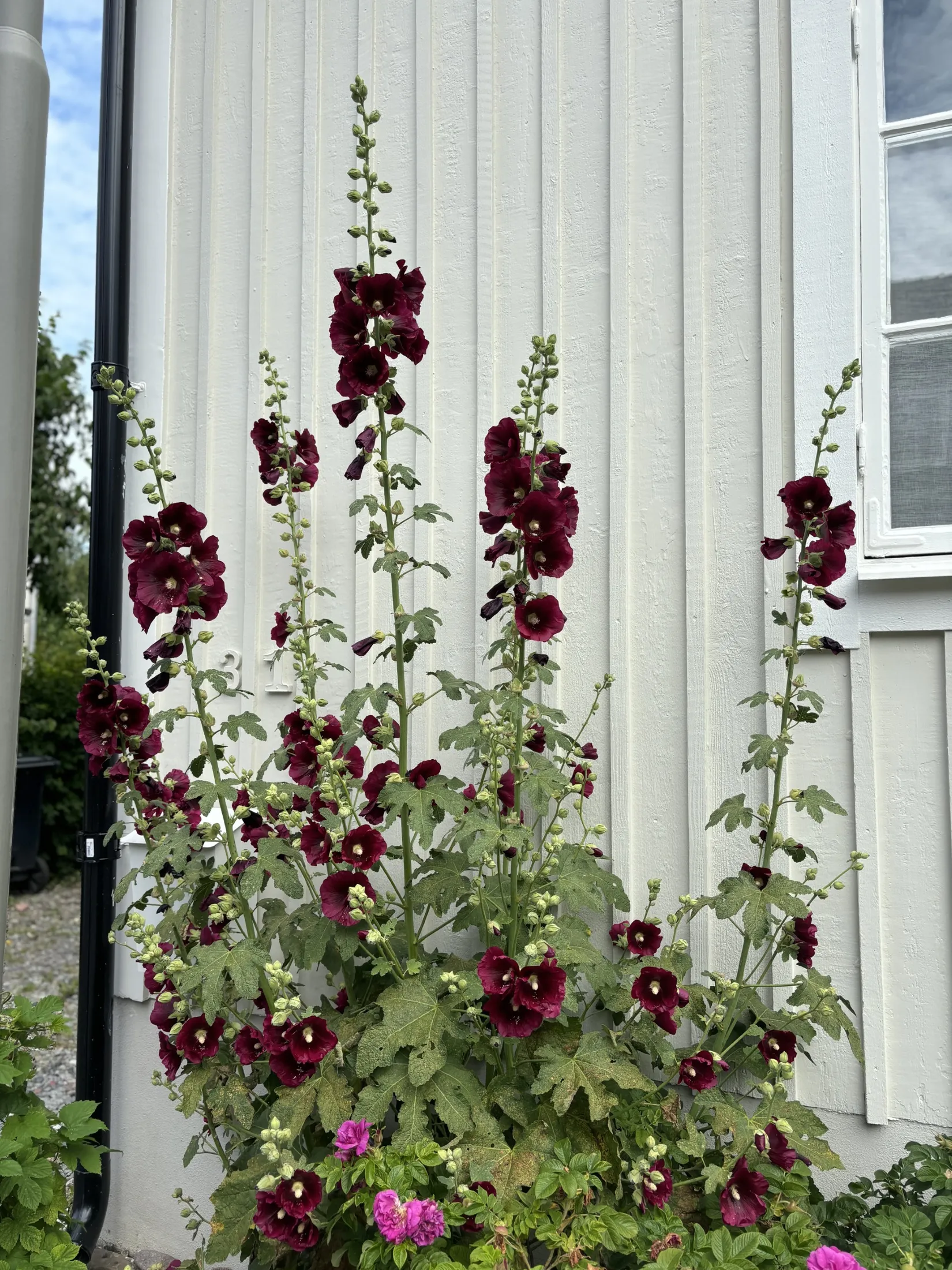 Villa, Hagtornsvägen 31, Enskededalen, Stockholm