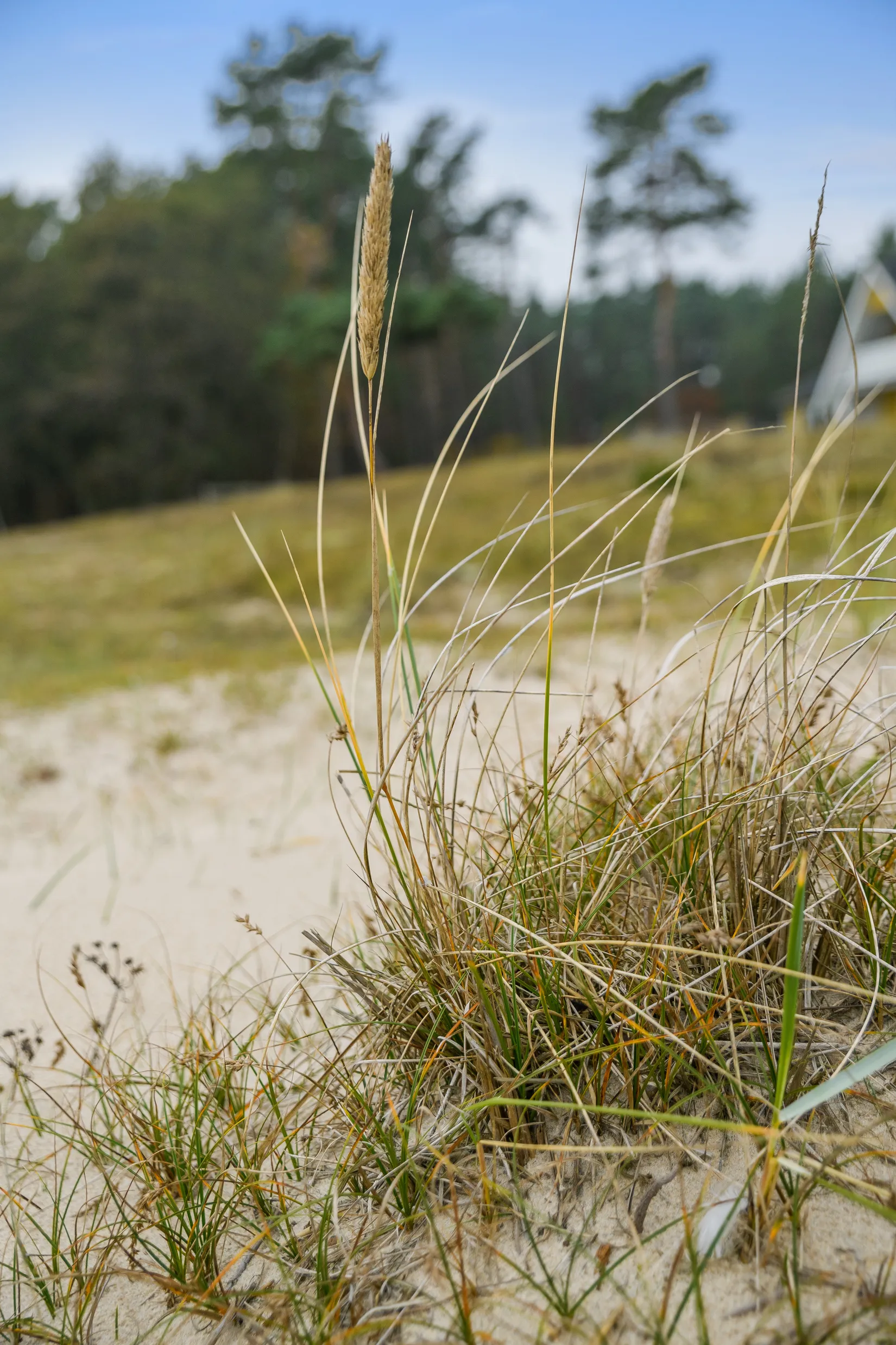 Villa, Flisvägen 2B, Yngsjö Saltsjöbad, Kristianstad