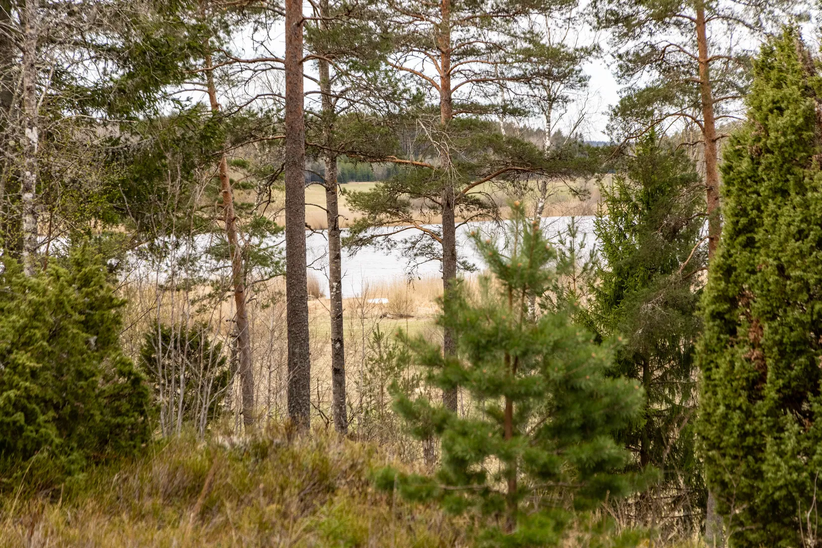 Fritidshus, Stenyxvägen 14, Enköping