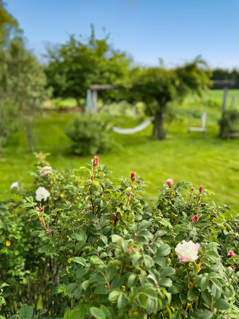 Gård/Skog, Hållestorp 108, Hållestorp, Ulricehamn