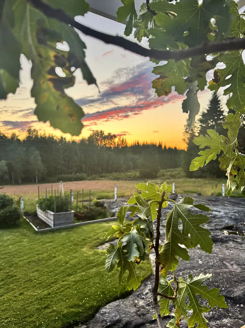 Gård/Skog, Hållestorp 108, Hållestorp, Ulricehamn