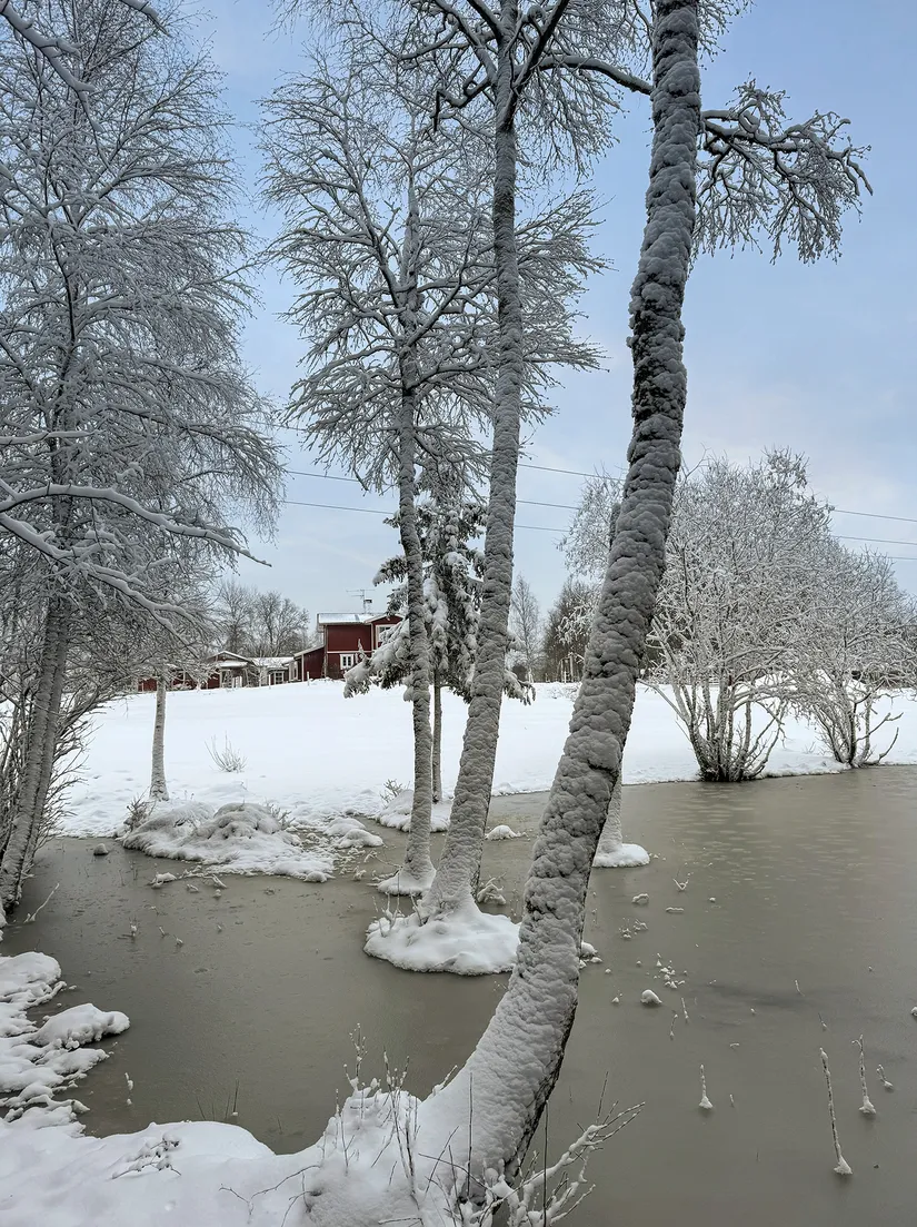 Gård/Skog, Hållestorp 108, Hållestorp, Ulricehamn