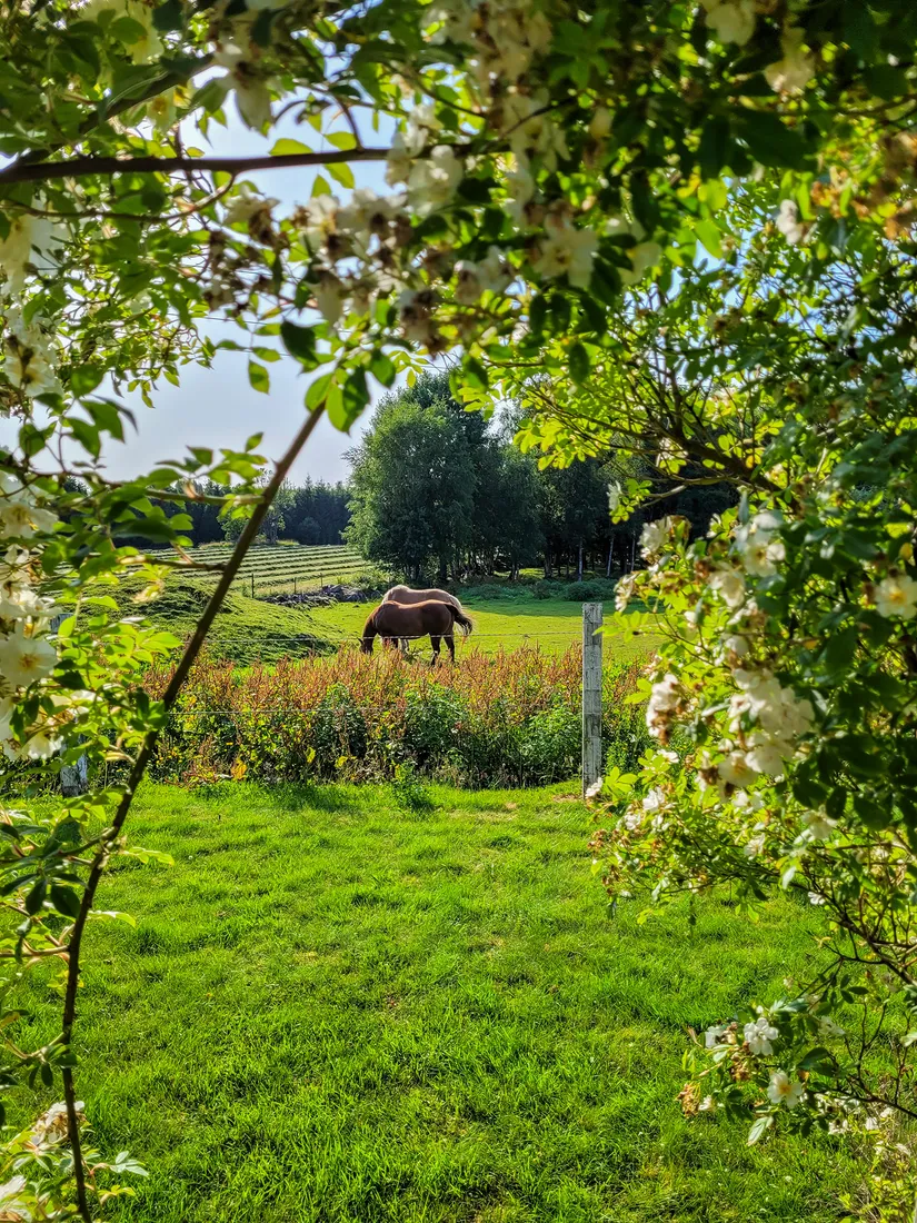 Gård/Skog, Hållestorp 108, Hållestorp, Ulricehamn