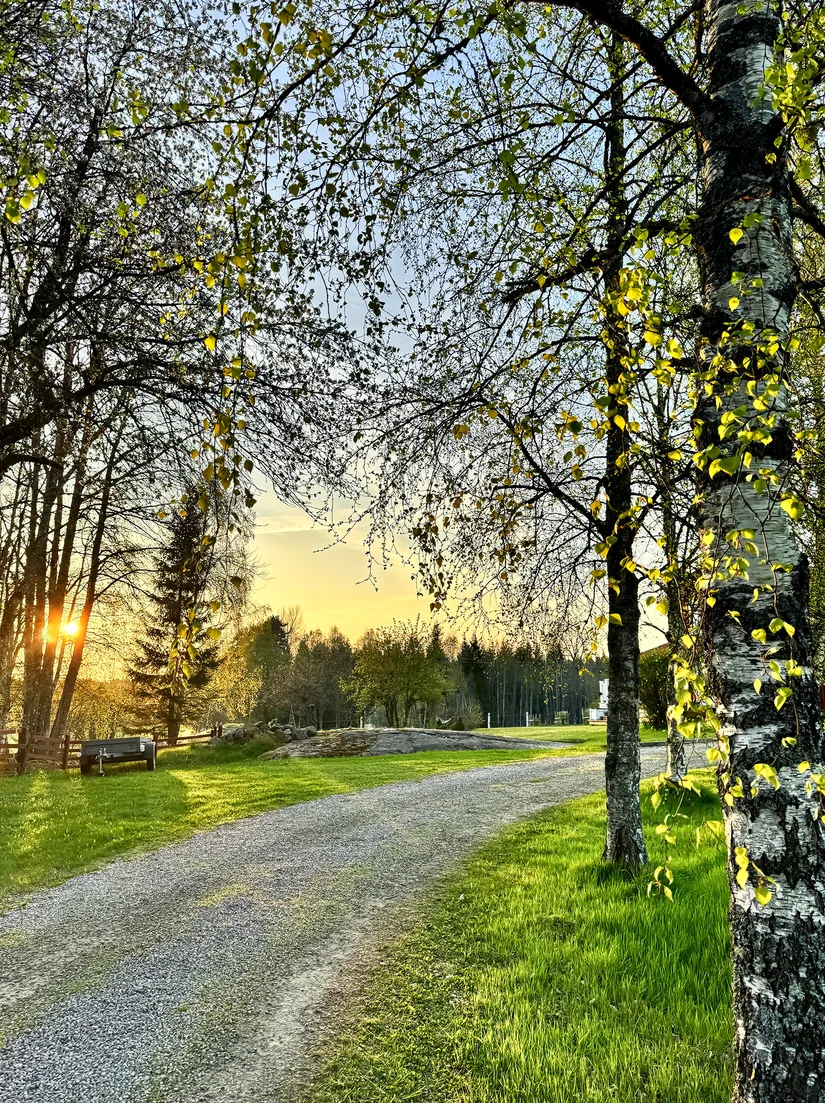 Gård/Skog, Hållestorp 108, Hållestorp, Ulricehamn