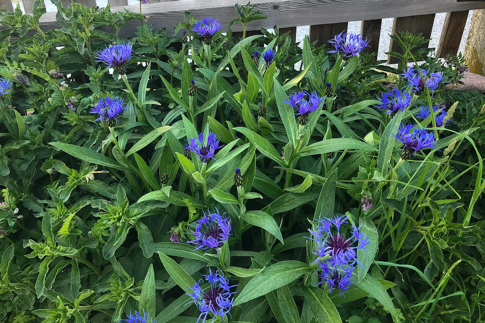 Villa, Midgårdsvägen 17, Stuvsta/Långsjön, Huddinge