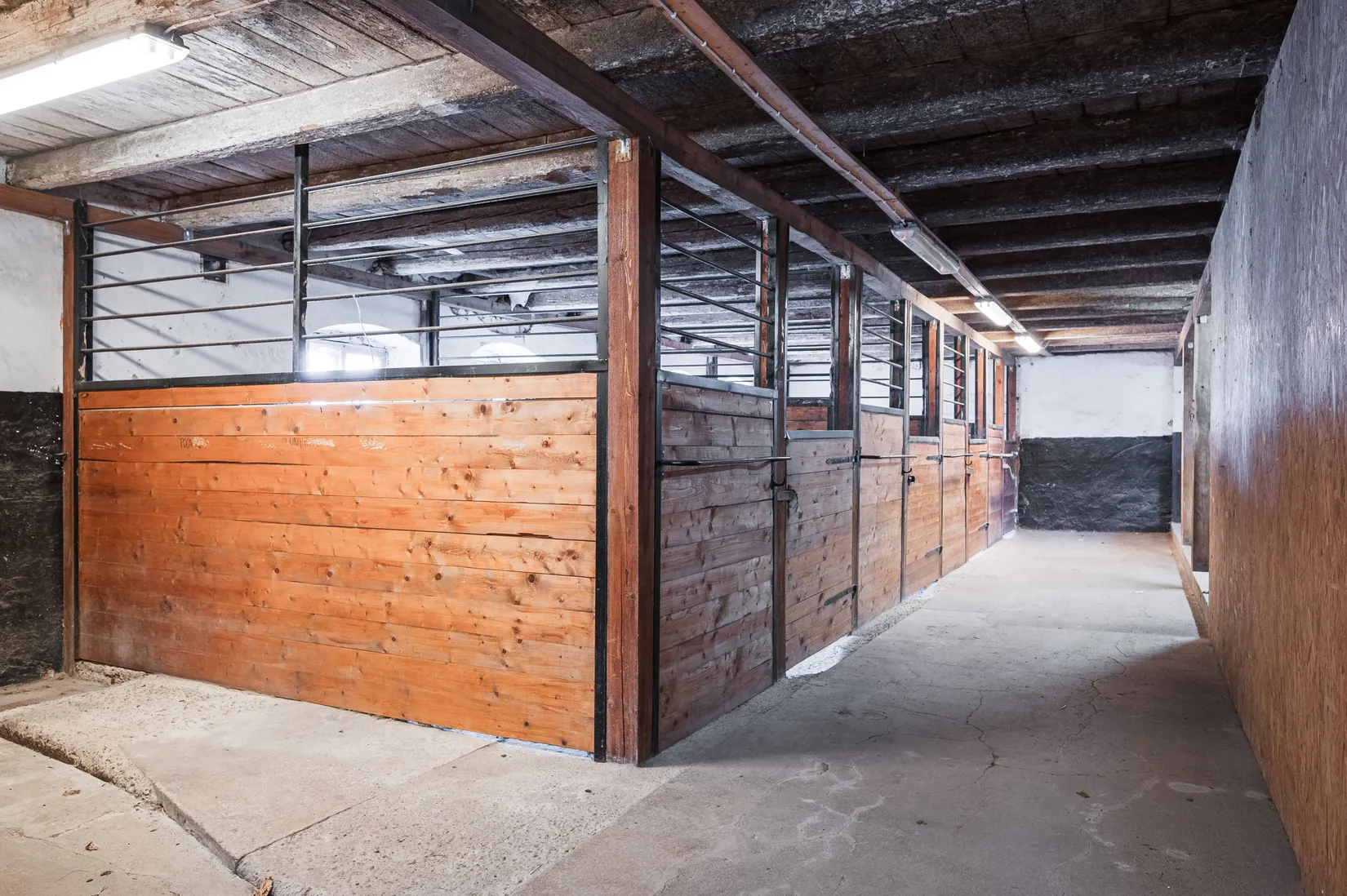 Gård/Skog, Holmåkravägen 37, Björketorp, Mark