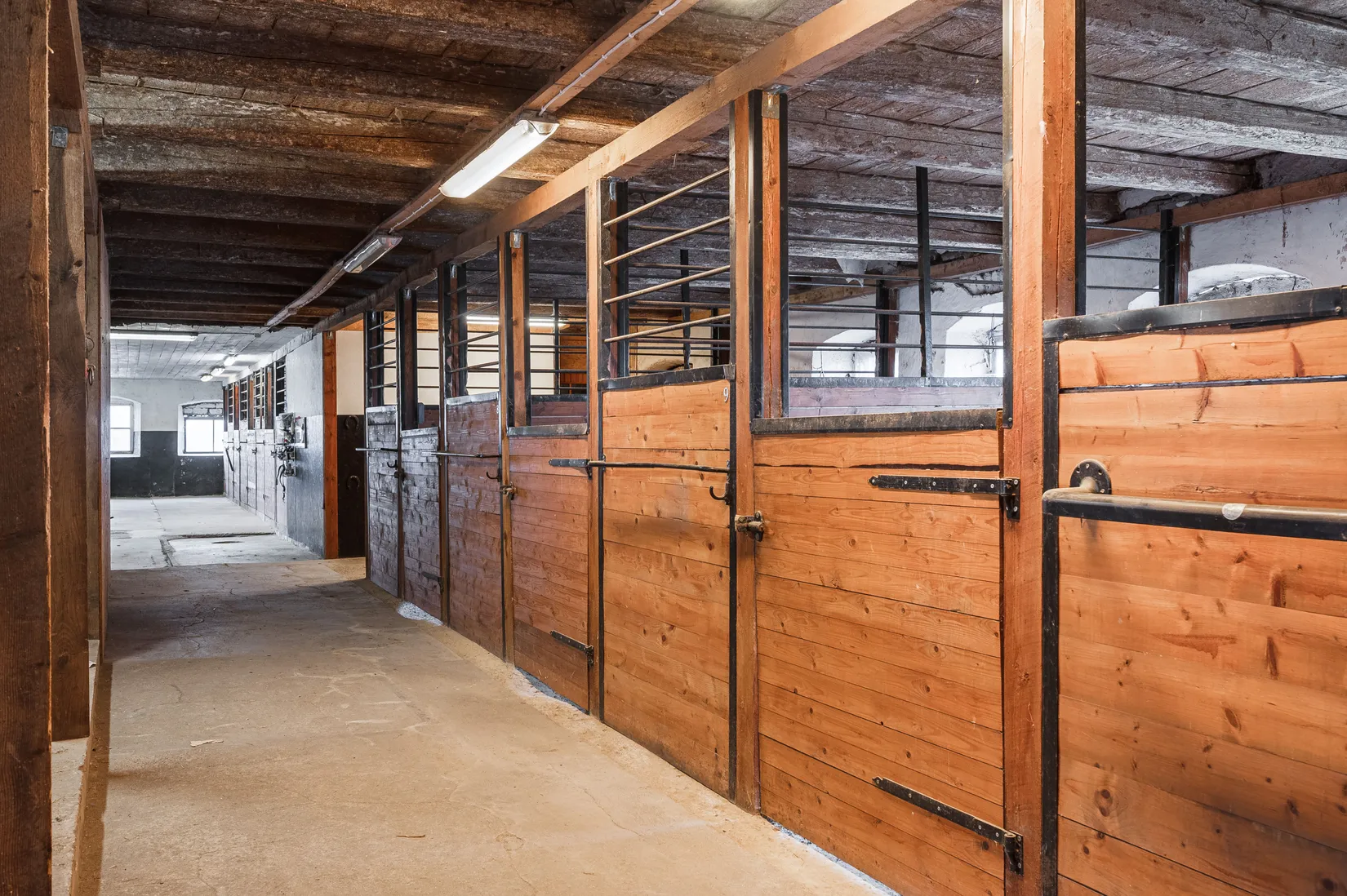 Gård/Skog, Holmåkravägen 37, Björketorp, Mark