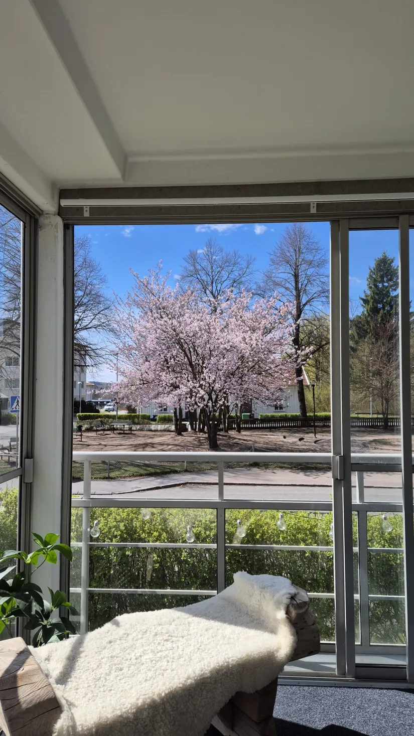 Bostadsrätt, Klockaregatan 9, Kinna, Mark