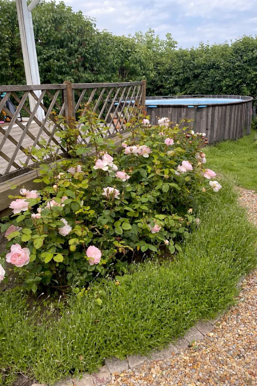 Villa, Helsingborgsvägen 180, Påarp, Helsingborg