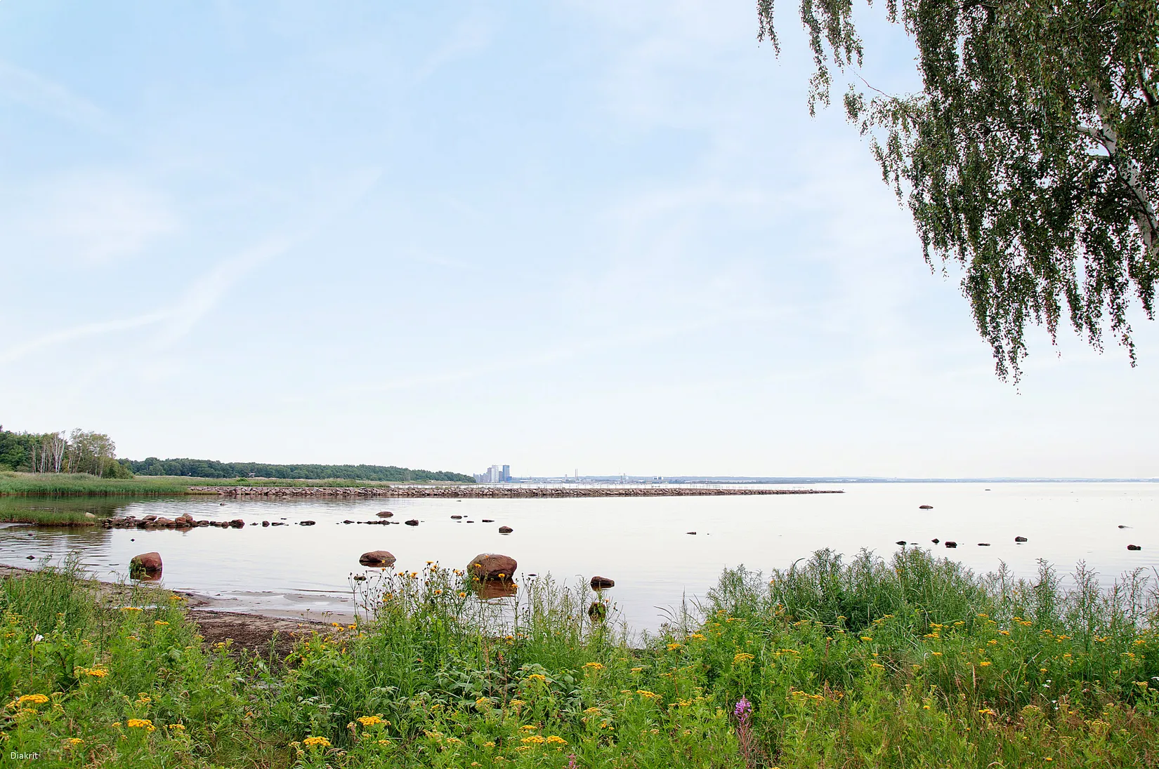Villa, Radhus, Tenorvägen 8, Söndrum, Halmstad