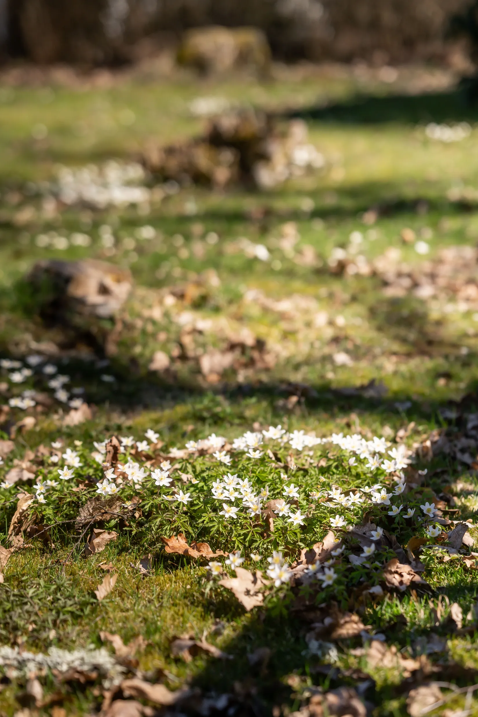 Villa, Alhammar Ekvägen 54, Ulricehamn