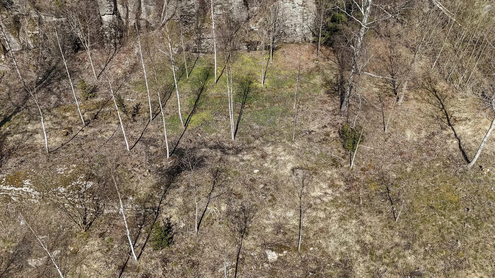 Tomt, Harestorpsvägen, Åsa, Kungsbacka