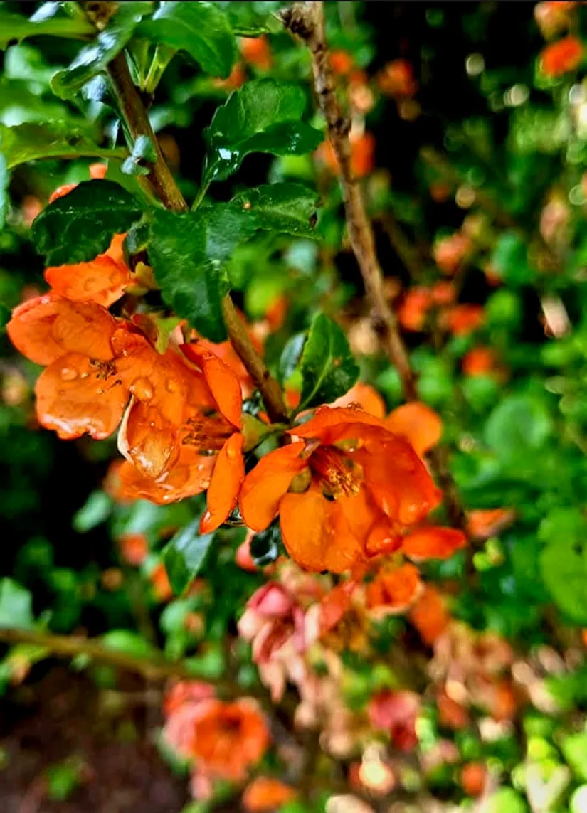 Villa, RURIKS VÄG 8, Västra Bällsta, Vallentuna