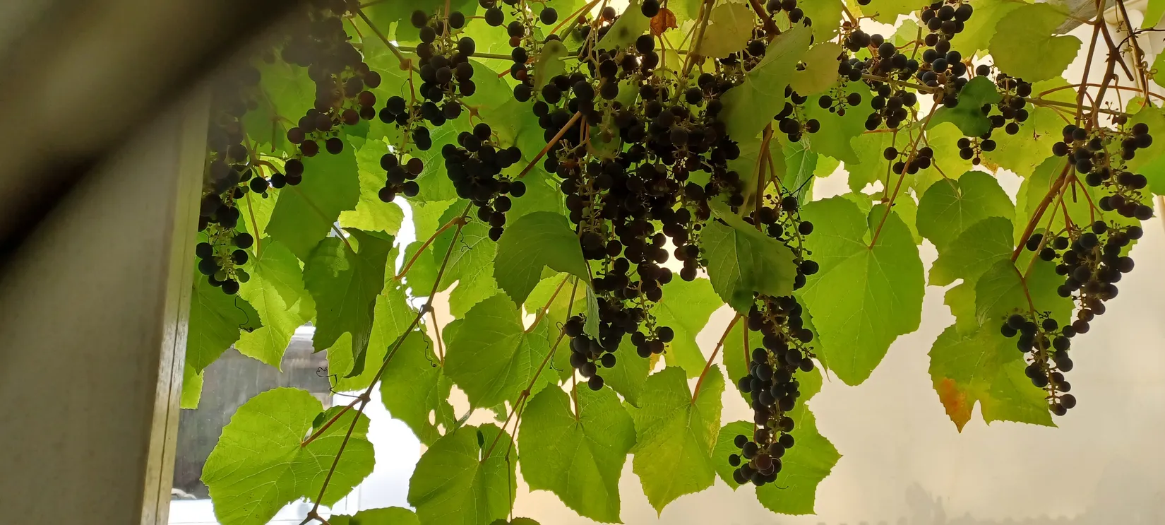 Villa, Östra Vingåkersvägen 11, Strångsjö, Katrineholm