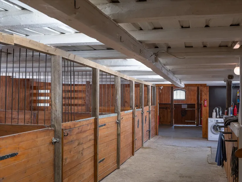 Gård/Skog, Lössbo 8, Kville, Tanum