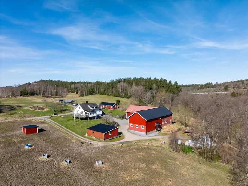 Gård/Skog, Lössbo 8, Kville, Tanum