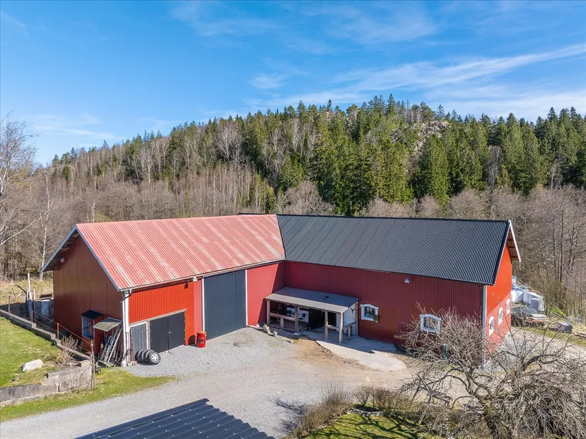 Gård/Skog, Lössbo 8, Kville, Tanum