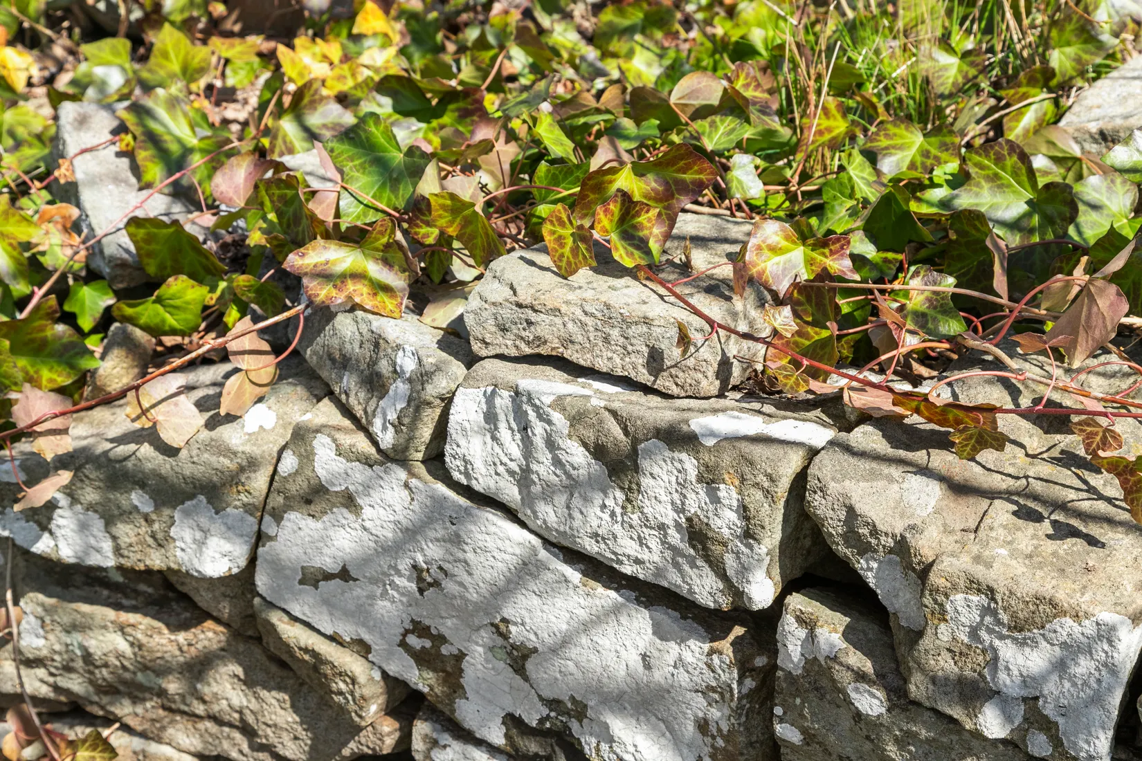 Fritidshus, Solviksvägen 22, Apelviken, Varberg