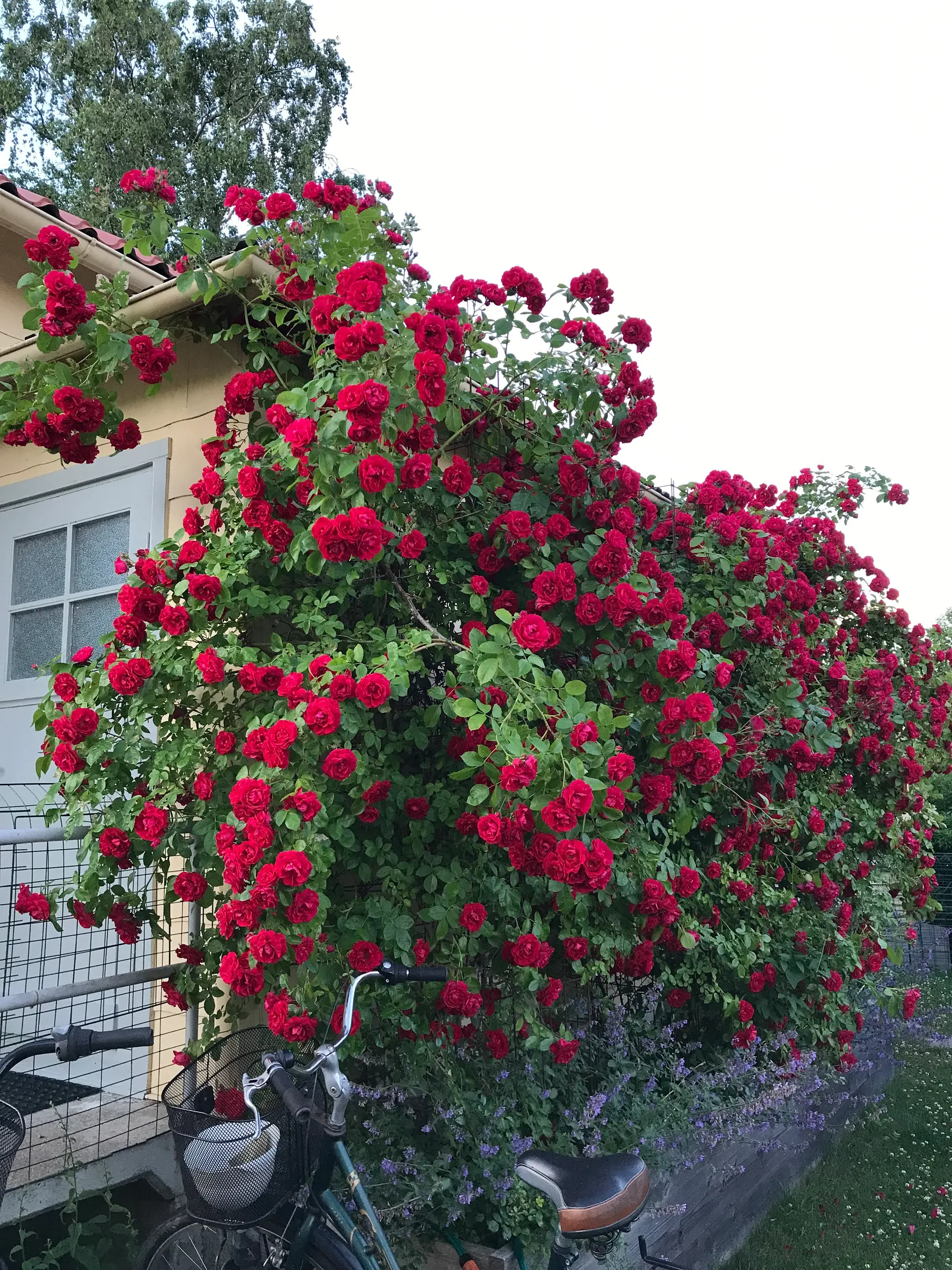 Villa, Gjutargatan 23, Haga, Västerås