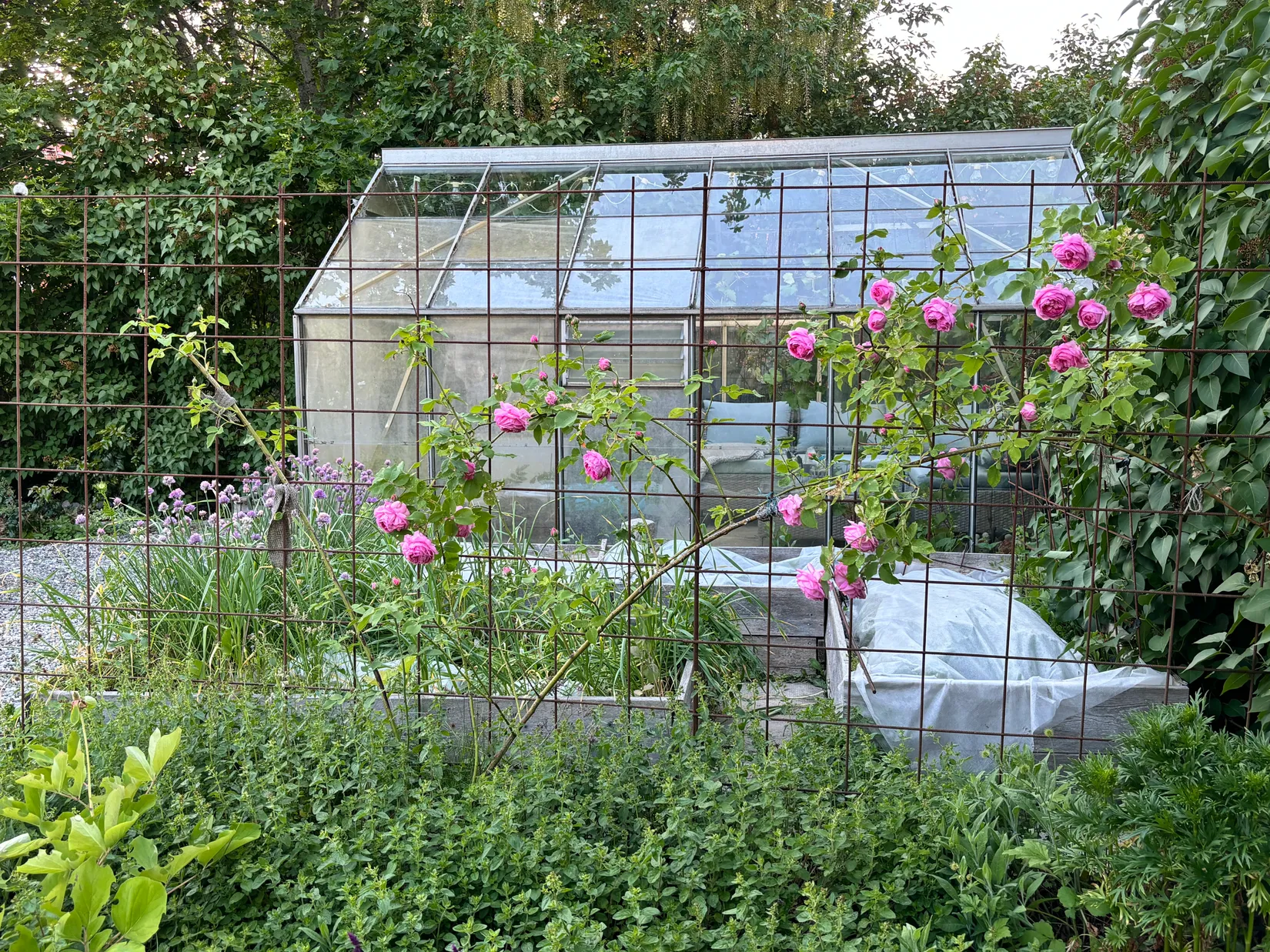 Villa, Gjutargatan 23, Haga, Västerås