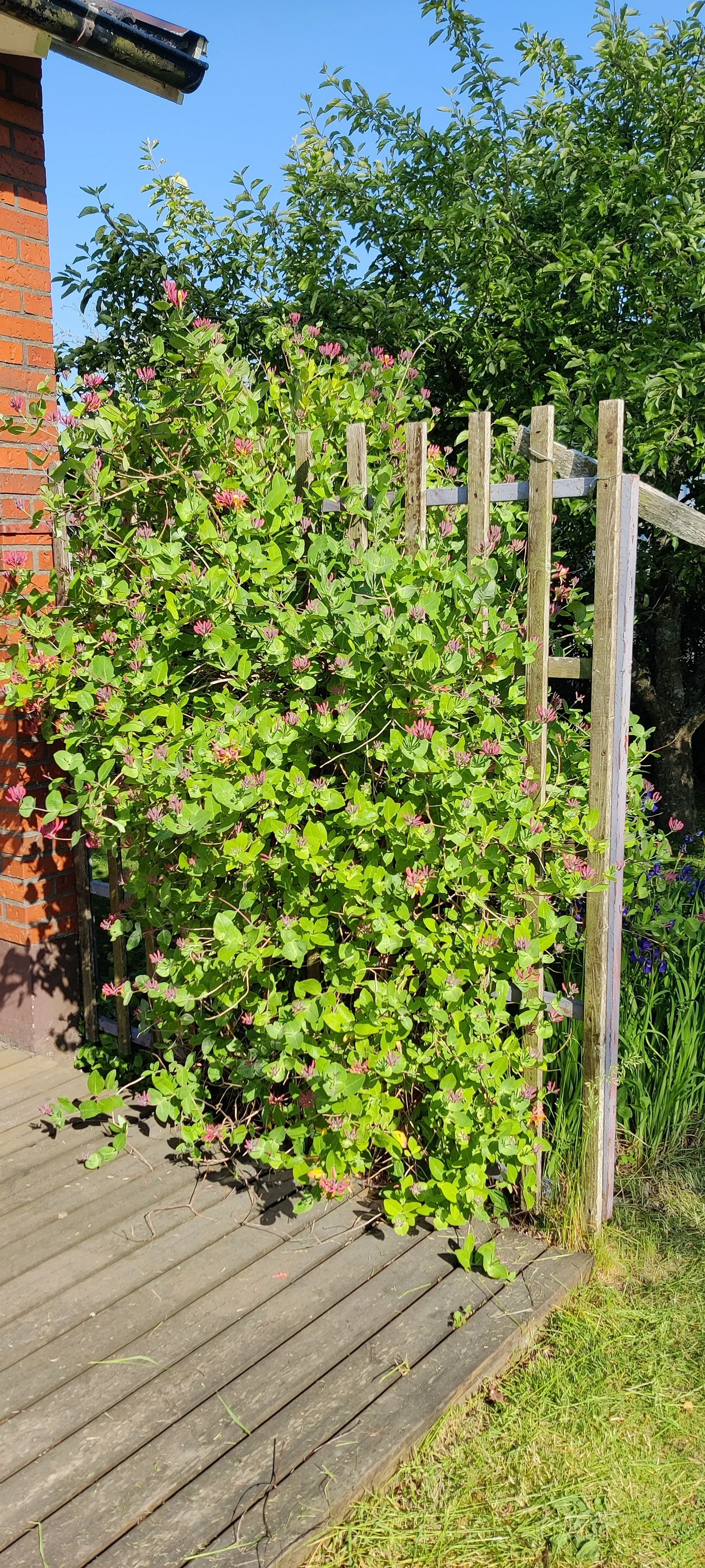 Villa, Storgatan 37, Brålanda, Vänersborg