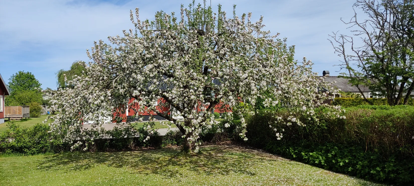 Villa, Storgatan 37, Brålanda, Vänersborg