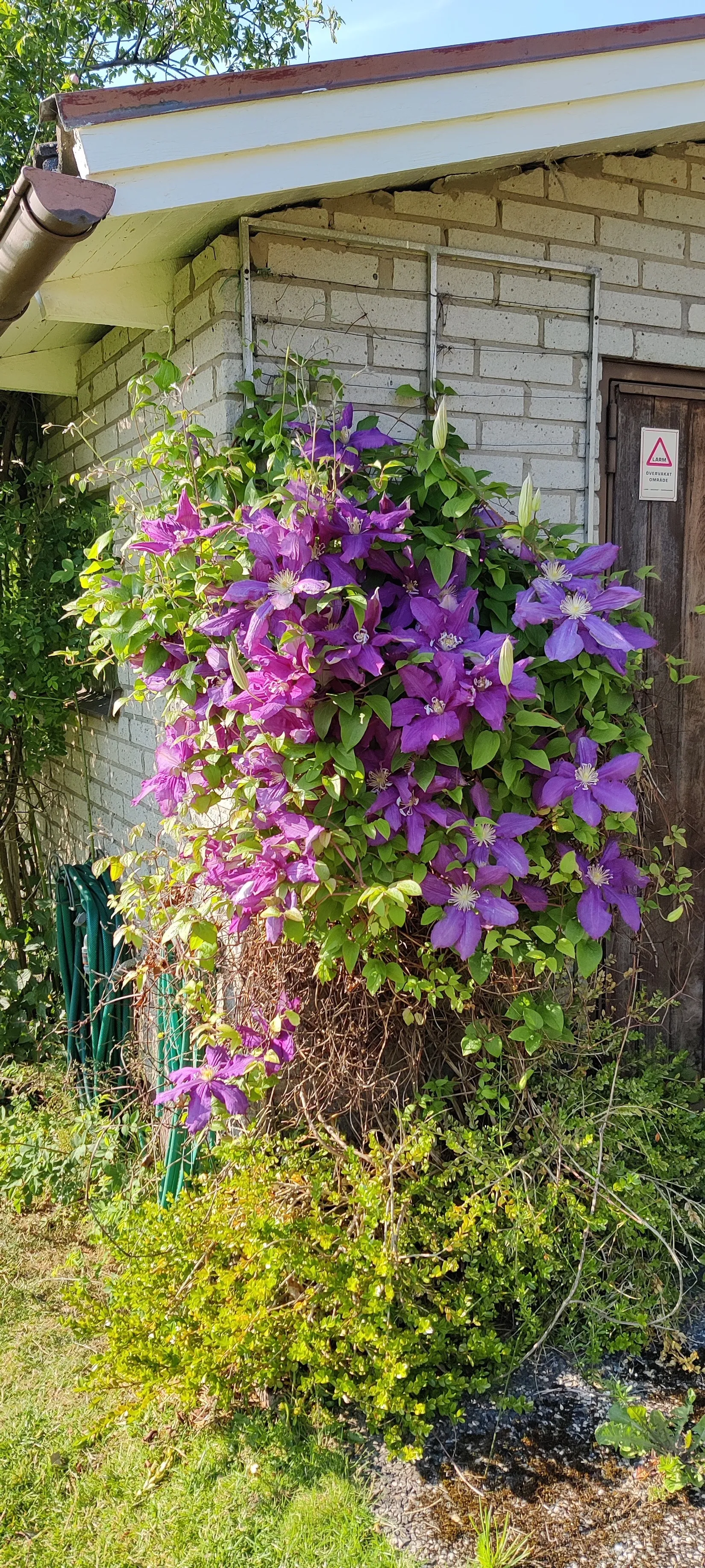 Villa, Storgatan 37, Brålanda, Vänersborg