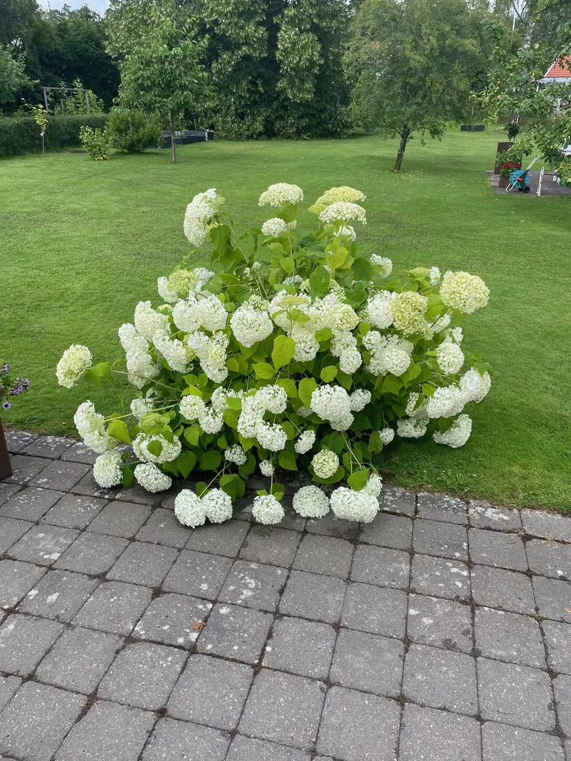 Villa, Strandvägen 19B, Lerum - Aspenäs, Lerum