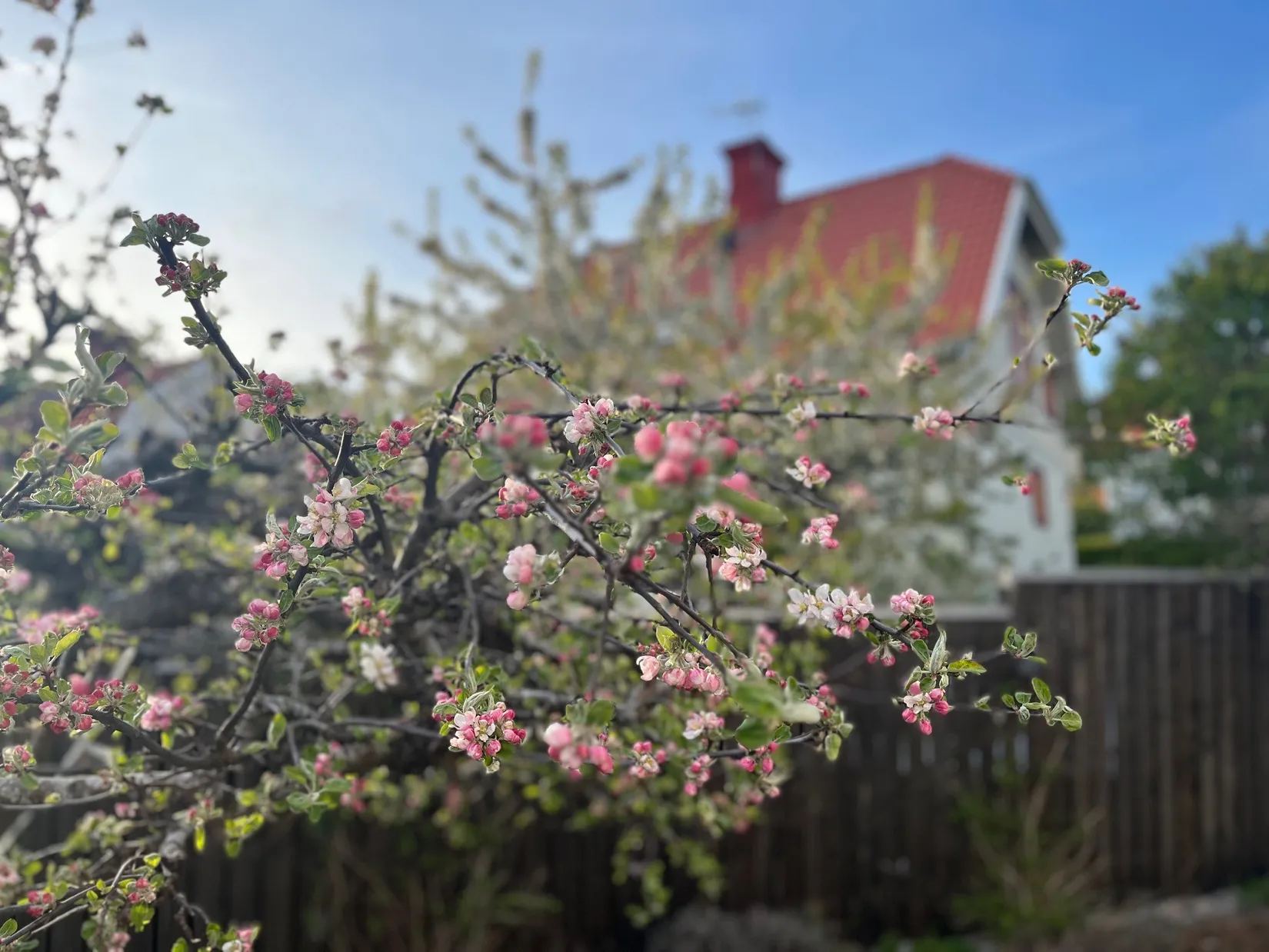 Villa, Stockholmsvägen 31, Öster, Nyköping