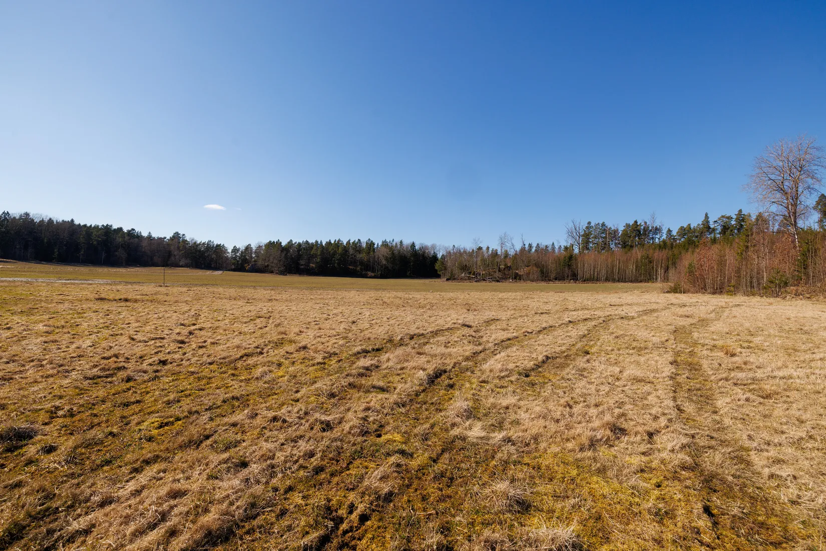 Tomt, Tikanäs 2:8, Tikanäs, Askersund