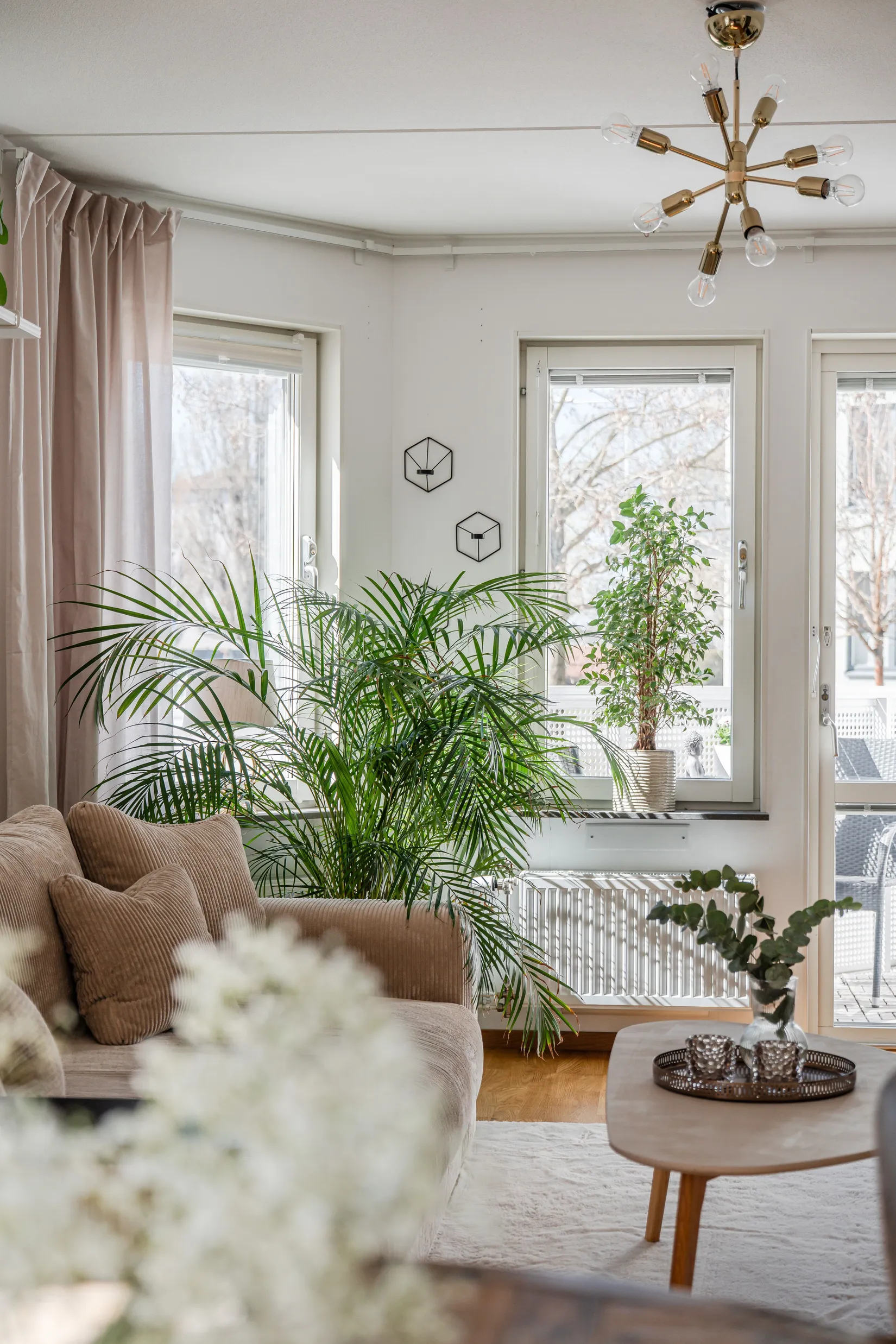 Bostadsrätt, Plattgatan 1, Uppsala