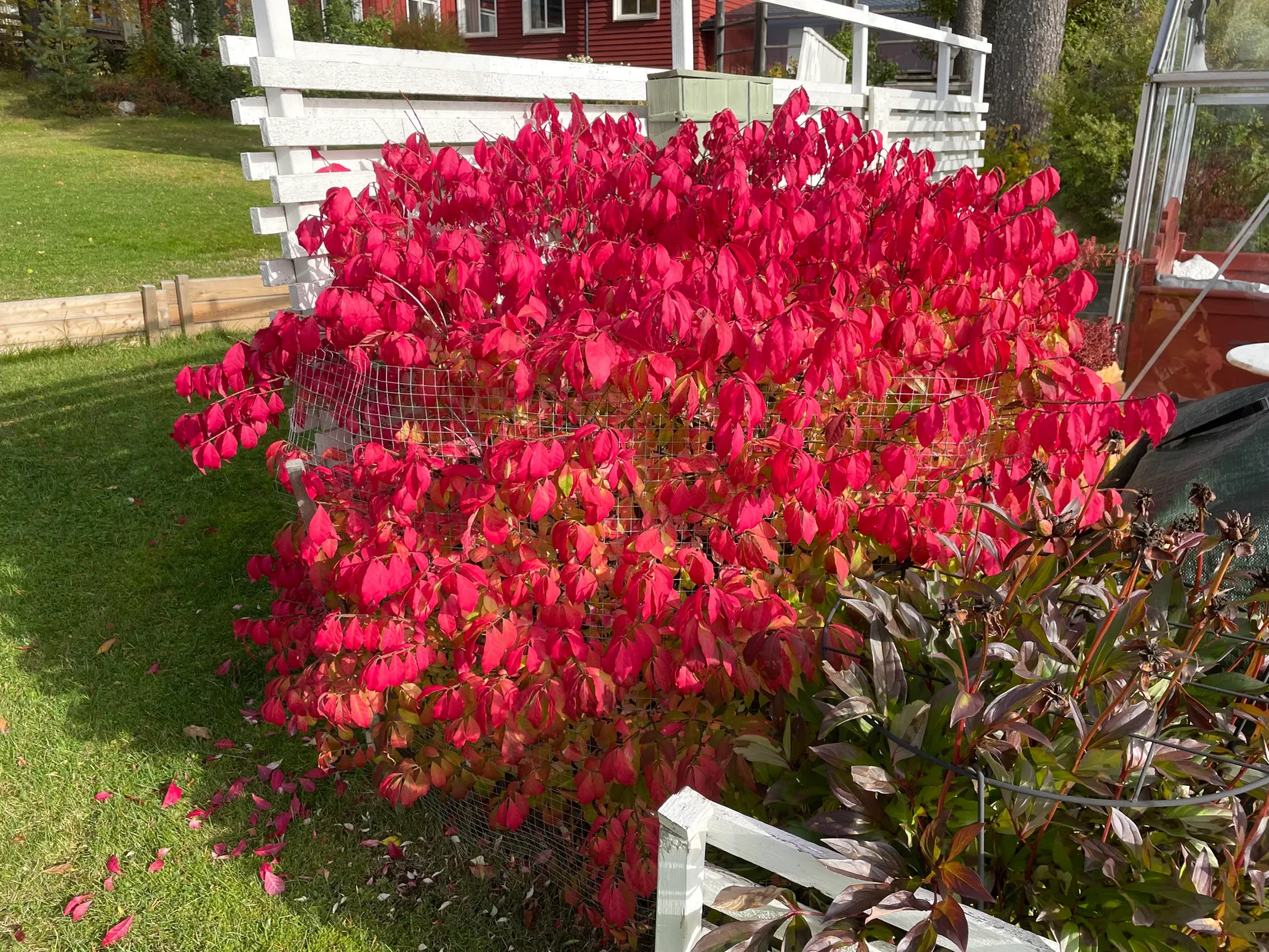 Villa, Tallvägen 18, Sofiehem, Umeå
