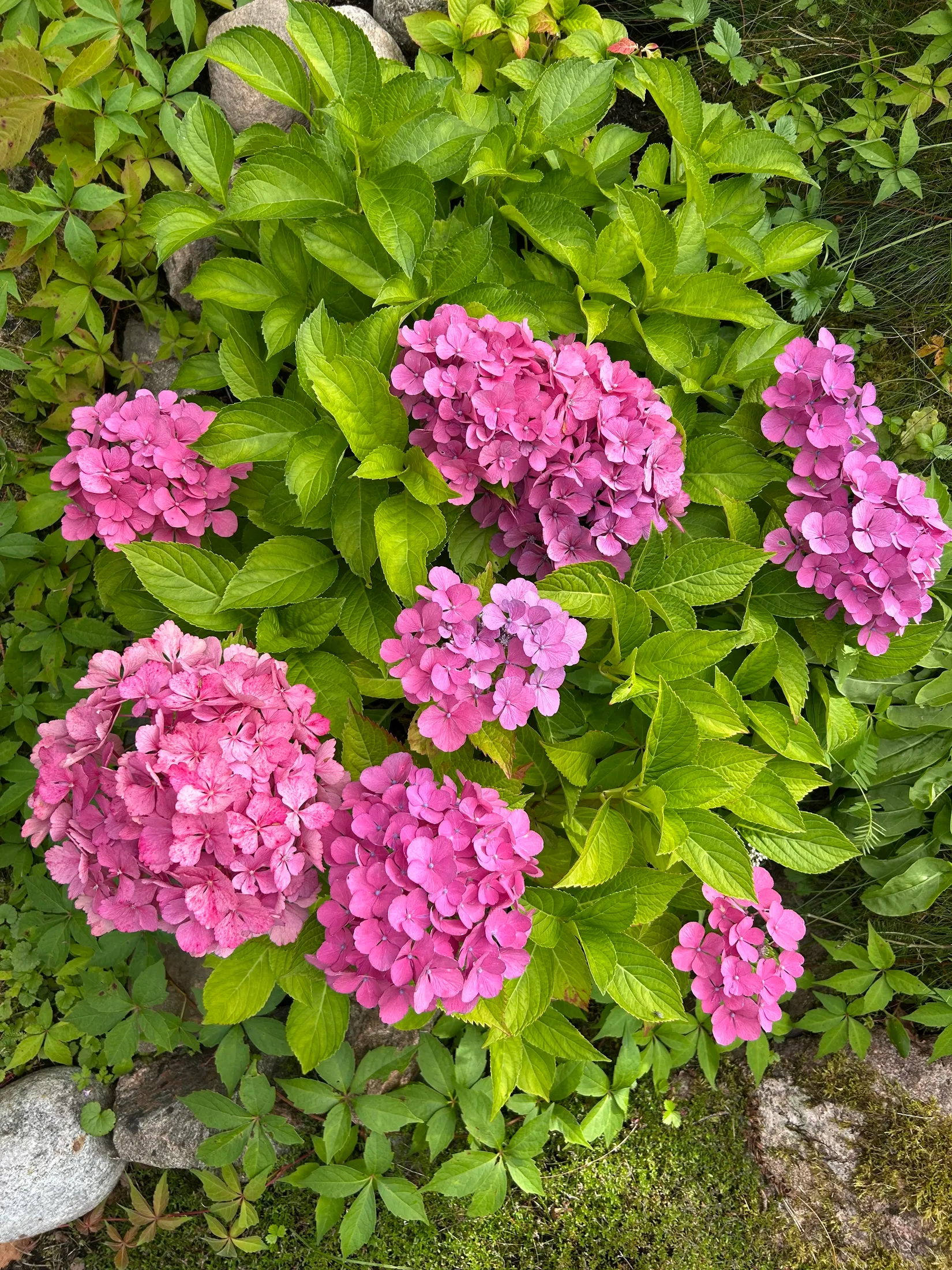 Villa, Åkerkantsvägen 30, Sundbyholm, Eskilstuna