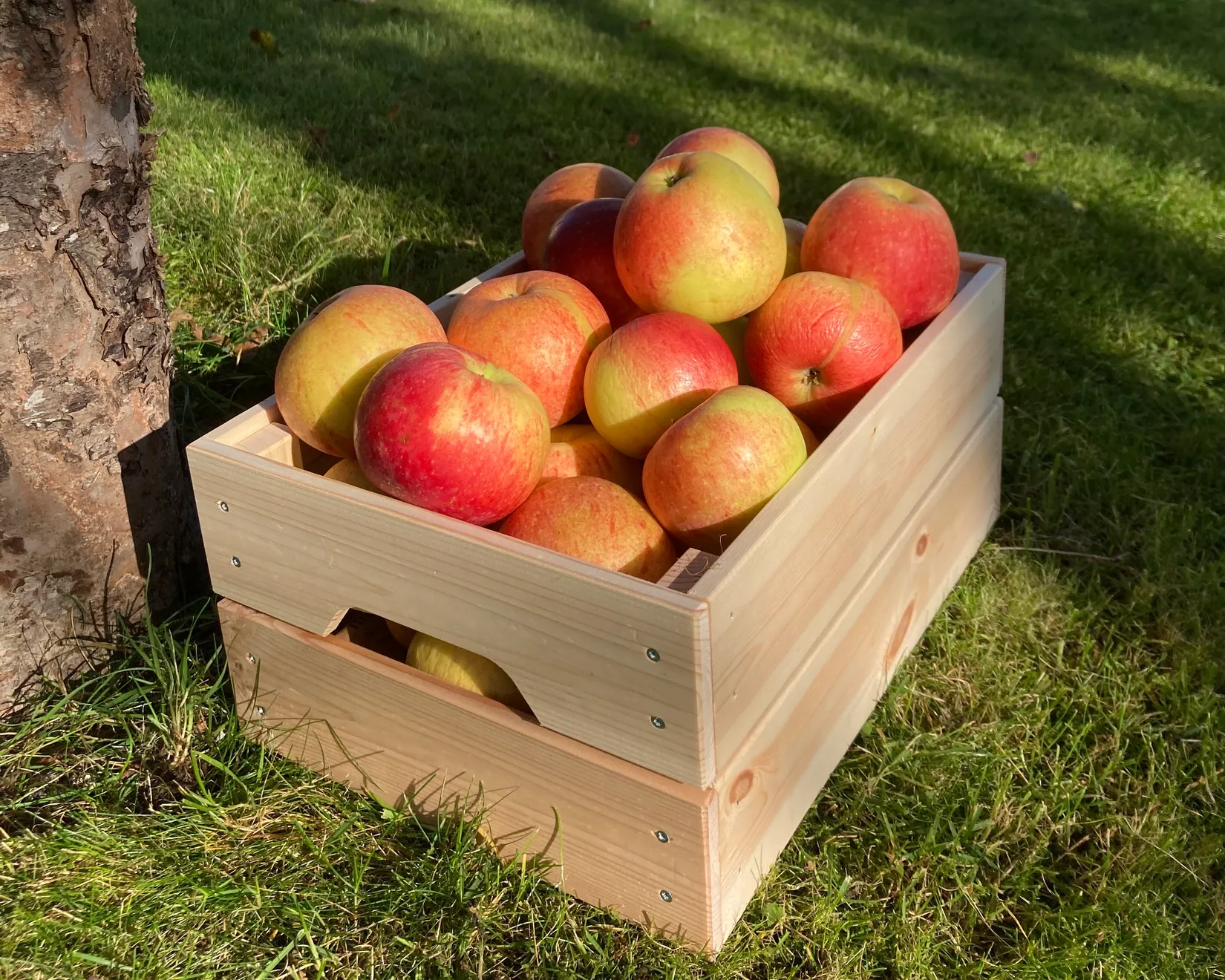 Villa, Radhus, Prostkvarnsgatan 66, Sveahäll, Jönköping